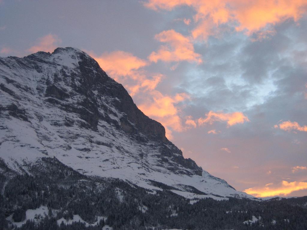 "Studio Edelweiss" Spillstatthus Grindelwald Habitación foto